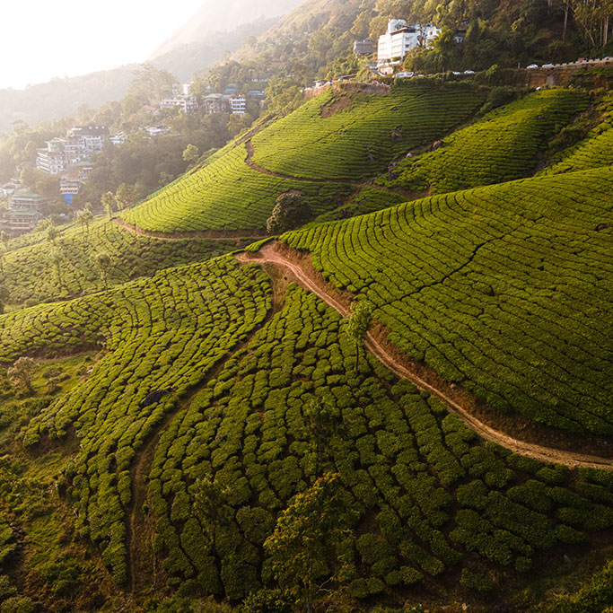 bangalore to munnar package Munnar