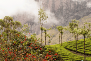 Weekend Hill Station Packages