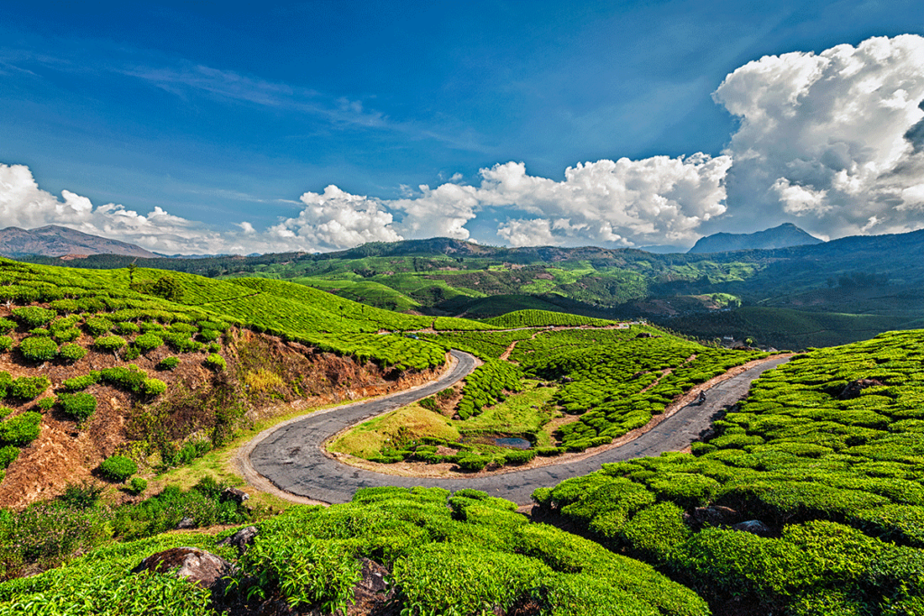 Affordable Madurai to Munnar Taxi