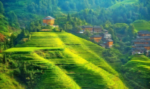 Madurai to Kodaikanal taxi services