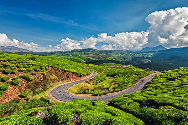 Munnar-2